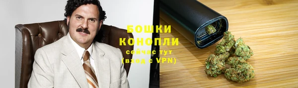 мяу мяу мука Белокуриха